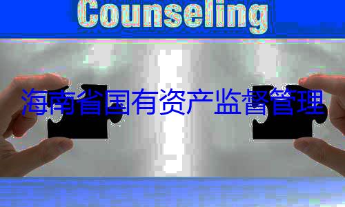 资产监督管委副书记王有福接受审海南省国有查调查理委员会党